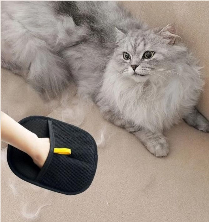 A fluffy gray cat lies on a beige carpet while shedding loose fur. A hand holds a black pet grooming brush with a yellow handle, showing it in use.